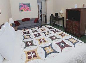 Medical District Near Texas Tech Univ Motel 2*